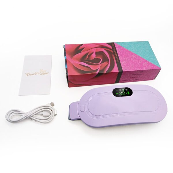 Plastic Smart Vibration Hot Compress Waist Supporter - Image 3